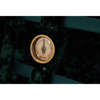 Roth & Junius RJVC Violin Case Allegro 4/4 Roth & Junius RJVC Violin Case Allegro 4/4