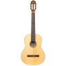 Ortega R121L NT Ortega R121L NT