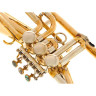 Флюгельгорн Schagerl Killerking Flugelhorn UL