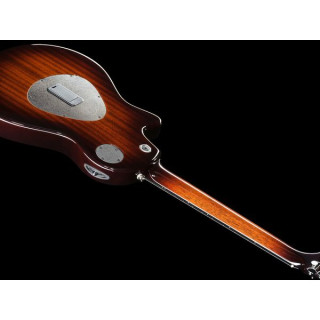 Тейлор Т5z Classic DLX, 12-струнная,Reve Taylor T5z Classic DLX,12-String,Reve