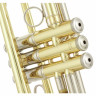 Труба Yamaha YTR-8345R 04 Yamaha YTR-8345R 04 Trumpet