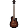 Акустическая бас-гитара Ibanez AEGB24FE-MHS Fretless