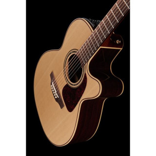 Takamine P5NC с мягким чехлом Takamine P5NC w/Softcase