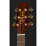 Takamine P5NC с мягким чехлом Takamine P5NC w/Softcase