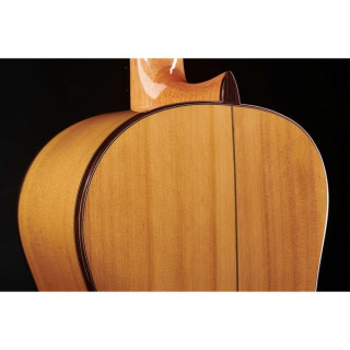 Классическая гитара с кейсом Alhambra 8 Fc Flamenco incl. Case Alhambra 8 Fc Flamenco incl. Case