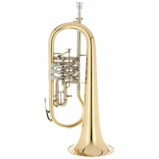 Флюгельгорн B&S 3017/2TR-L Bb Flugelhorn Bundle №529072 (Комплект)