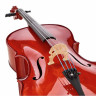 Виолончель с набором Roth & Junius RJC Cello Set 1/2 Roth & Junius RJC Cello Set 1/2