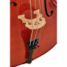 Виолончель с набором Roth & Junius RJC Cello Set 1/2 Roth & Junius RJC Cello Set 1/2