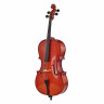 Виолончель с набором Roth & Junius RJC Cello Set 1/2 Roth & Junius RJC Cello Set 1/2