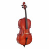 Виолончель с набором Roth & Junius RJC Cello Set 1/2 Roth & Junius RJC Cello Set 1/2