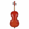 Виолончель с набором Roth & Junius RJC Cello Set 1/2 Roth & Junius RJC Cello Set 1/2