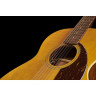 Fender Villager 12-струнный AGN Fender Villager 12-String AGN