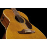 Fender Villager 12-струнный AGN Fender Villager 12-String AGN