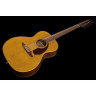 Fender Villager 12-струнный AGN Fender Villager 12-String AGN