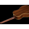 Fender Villager 12-струнный AGN Fender Villager 12-String AGN