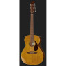 Fender Villager 12-струнный AGN Fender Villager 12-String AGN