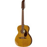 Fender Villager 12-струнный AGN Fender Villager 12-String AGN
