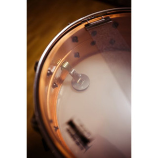 Ямаха 14"x5.5" Roy Haynes Ltd. Yamaha 14"x5.5" Roy Haynes ltd.