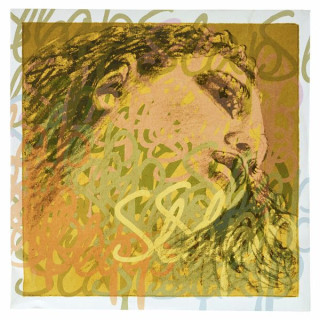 Pirastro Ева Пирацци Шлепок D Струнный Син Pirastro Evah Pirazzi Slap D String Syn