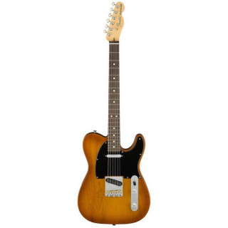 Электрогитара Fender AM Perf Tele RW HBST Fender AM Perf Tele RW HBST