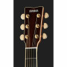 Электроакустическая гитара Yamaha LL 16 D A.R.E NT Yamaha LL 16 D A.R.E NT