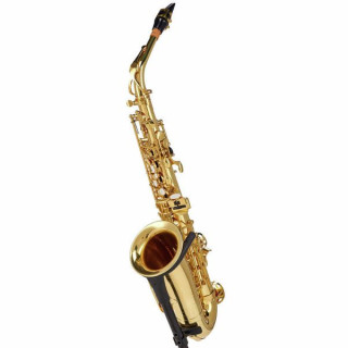 Набор для альт-саксофона Startone SAS-75 II Startone SAS-75 Alto Sax Set II