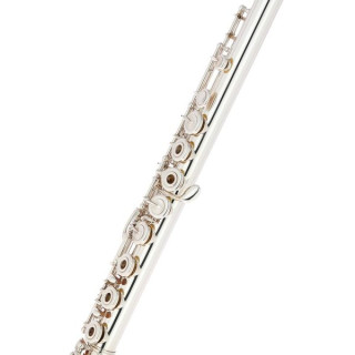 Флейта Altus AS-PSD ERB1 Altus AS-PSD ERB1 Flute