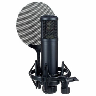 Микрофон SE Electronics SE 2200 SE Electronics SE 2200