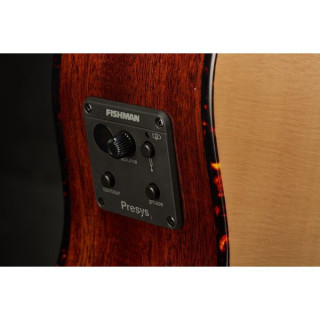 Рекординг Кинг RGA-G6-CFE5 Recording King RGA-G6-CFE5