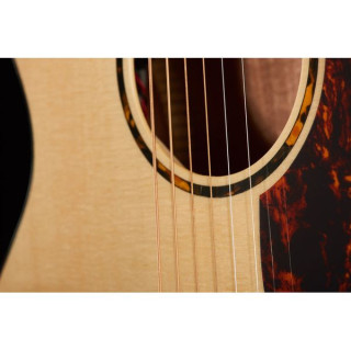 Рекординг Кинг RGA-G6-CFE5 Recording King RGA-G6-CFE5