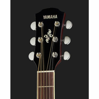 Yamaha APX 600 FM TBS Yamaha APX 600 FM TBS