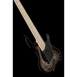 Dingwall CB3 Сгорание 5 Черный взрыв Dingwall CB3 Combustion 5 Black Burst