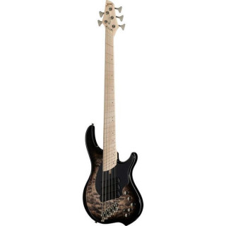 Dingwall CB3 Сгорание 5 Черный взрыв Dingwall CB3 Combustion 5 Black Burst