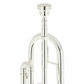 Труба Schagerl James Morrison Trp. JM1-S Schagerl James Morrison Trp. JM1-S