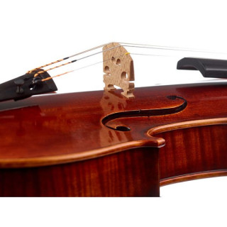 Франц Санднер Майстерверк Гуарнери Вн 4/4 Franz Sandner Meisterwerk Guarneri Vn 4/4