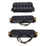 Набор звукоснимателей Kloppmann Errorhead Set F-Space BK
