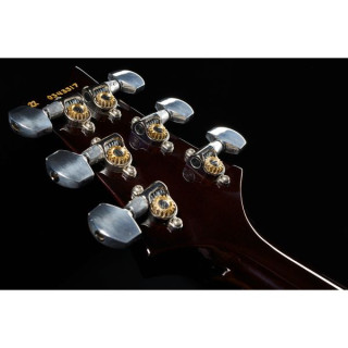 Электрогитара PRS Special Semi-Hollow OI PRS Special Semi-Hollow OI