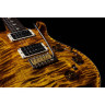 Электрогитара PRS Custom 24 Piezo YI PRS Custom 24 Piezo YI