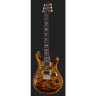 Электрогитара PRS Custom 24 Piezo YI PRS Custom 24 Piezo YI