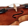 Скала Виладжио Ф.Х. А. Гварнери Альт 1676 Scala Vilagio F.H. A. Guarneri Viola 1676