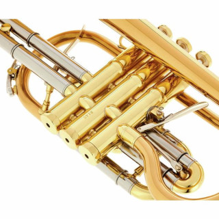 Шагерль Ханс Ганш Bb- корнет Schagerl Hans Gansch Bb- Cornet