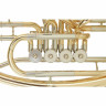 Баритон Thomann TBH 500 GM Baritone