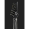 Электрогитара Ibanez XPTB620-BKF Ibanez XPTB620-BKF