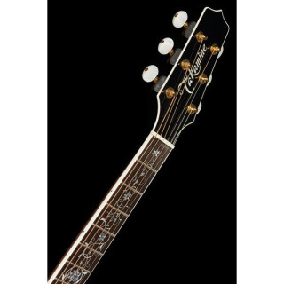 Takamine EF450C-TT TBB с мягким чехлом Takamine EF450C-TT TBB w/Softcase