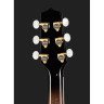 Takamine EF450C-TT TBB с мягким чехлом Takamine EF450C-TT TBB w/Softcase