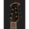 Серия Ovation Pro 2771AX-CCB-G SBal Ovation Pro Series 2771AX-CCB-G SBal