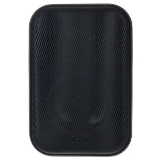 Танной ВМС 1 Tannoy VMS 1