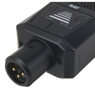 Левитт Рэй Lewitt RAY