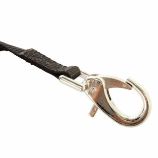 Ремень для барабана Rudolf Schwarz Strap Children Snare Eagle Rudolf Schwarz Strap Children Snare Eagle