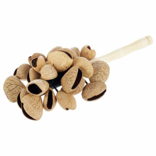 Terre Stickshaker Pangi Seeds Terre Stickshaker Pangi Seeds